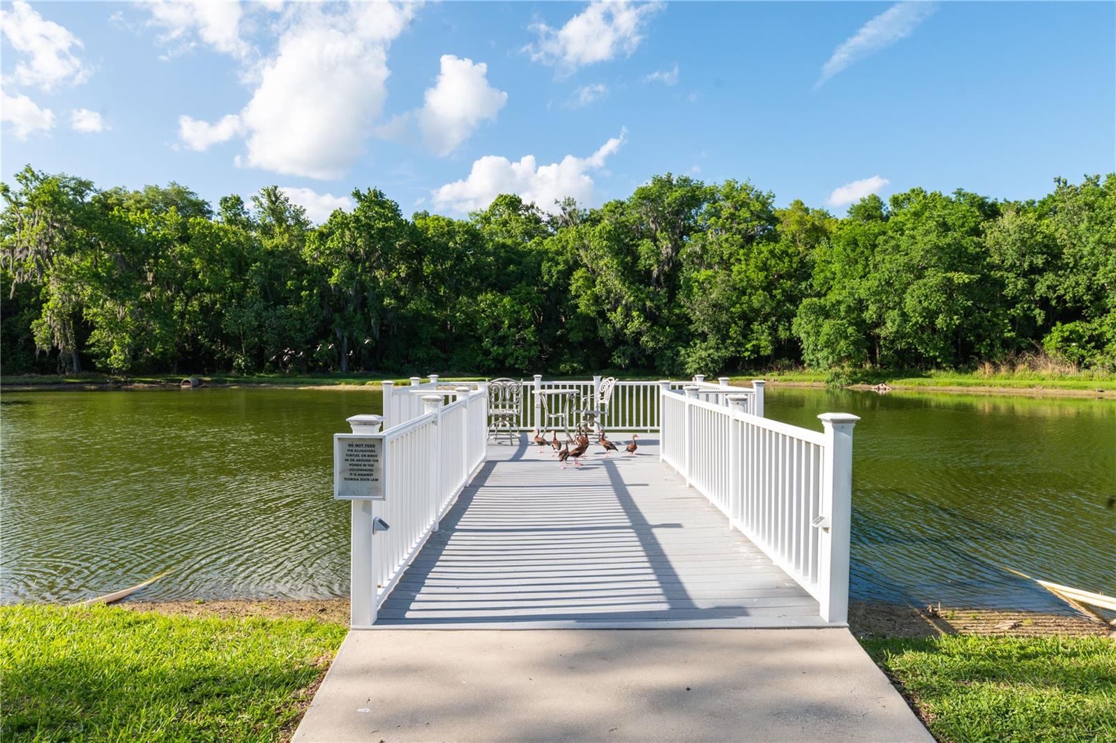 4954 PLEASANT HOLLOW TRL, LAKELAND, FL, 33811