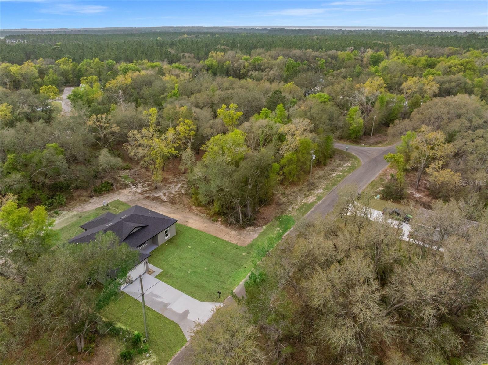 110 GUAVA PLACE DR, OCKLAWAHA, FL, 32179