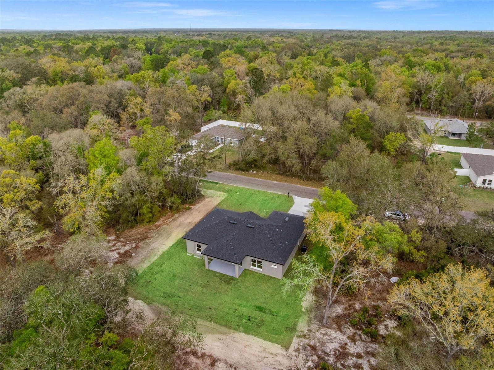 110 GUAVA PLACE DR, OCKLAWAHA, FL, 32179