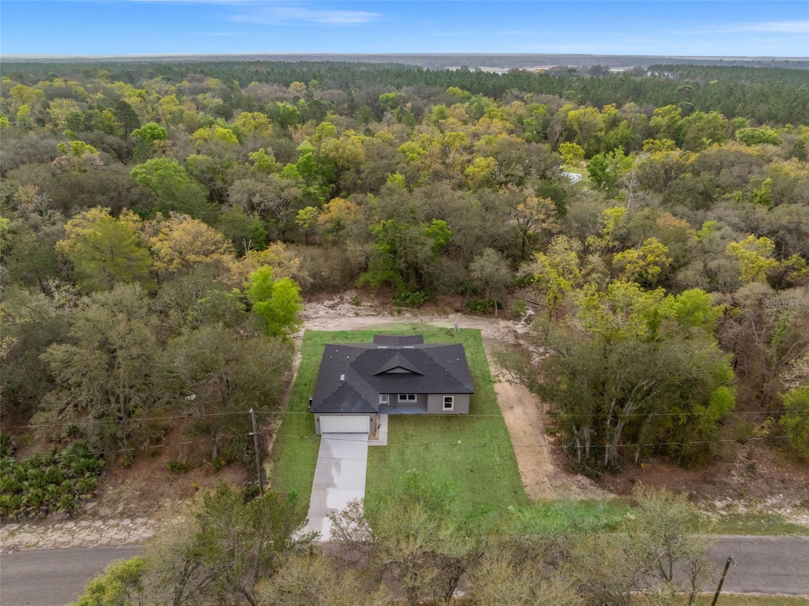 110 GUAVA PLACE DR, OCKLAWAHA, FL, 32179