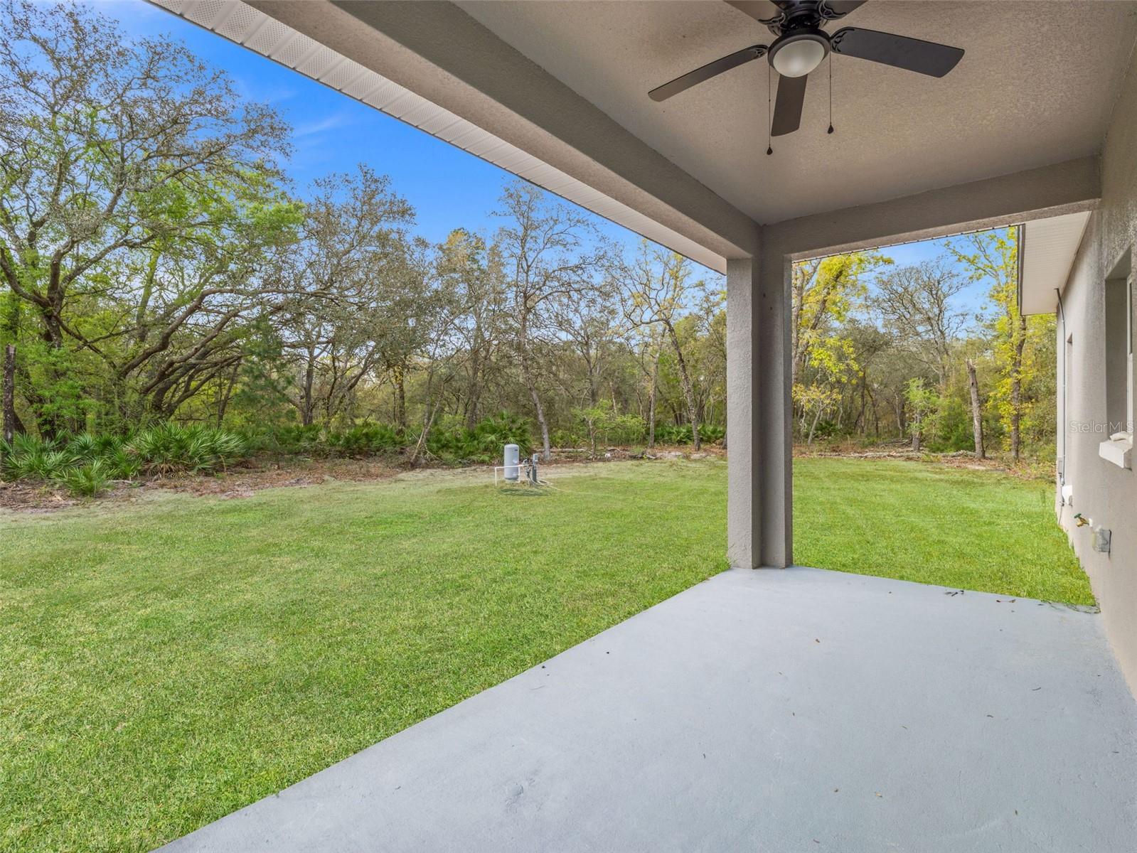 110 GUAVA PLACE DR, OCKLAWAHA, FL, 32179