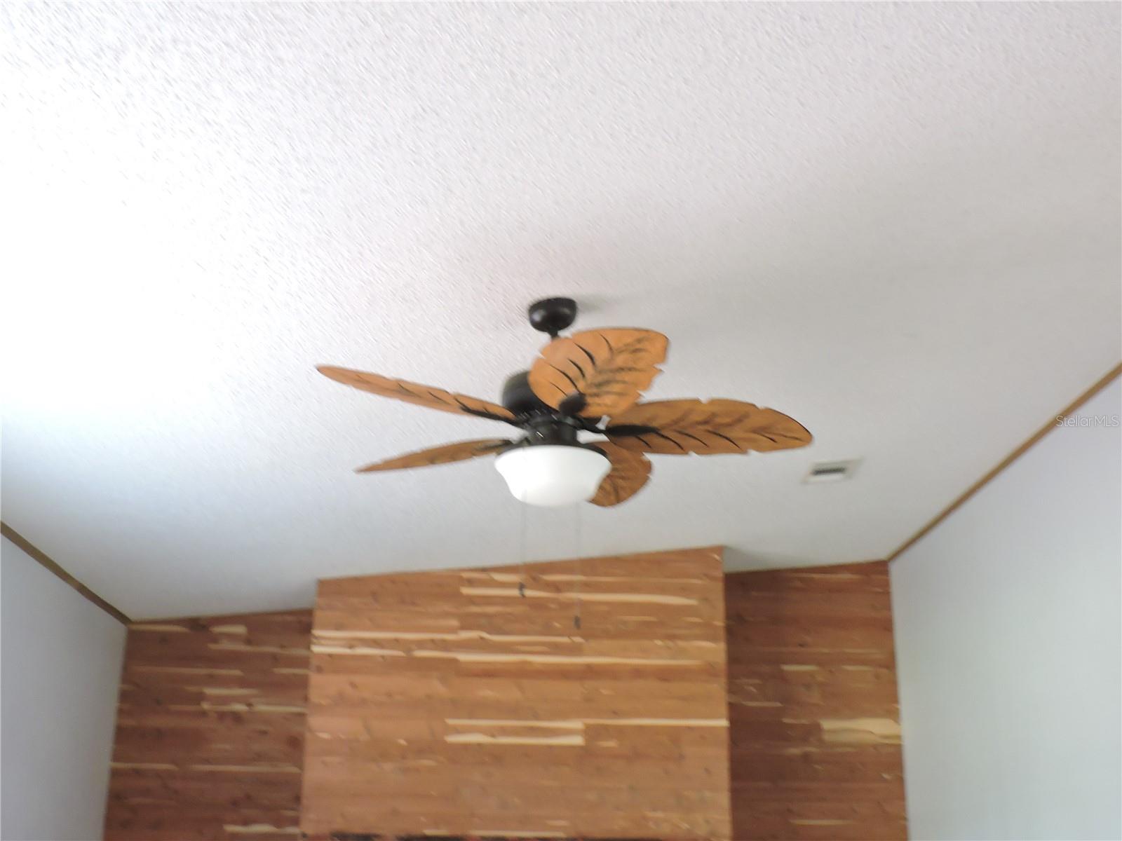 294 TIGER LAKE RD, LAKE WALES, FL, 33898