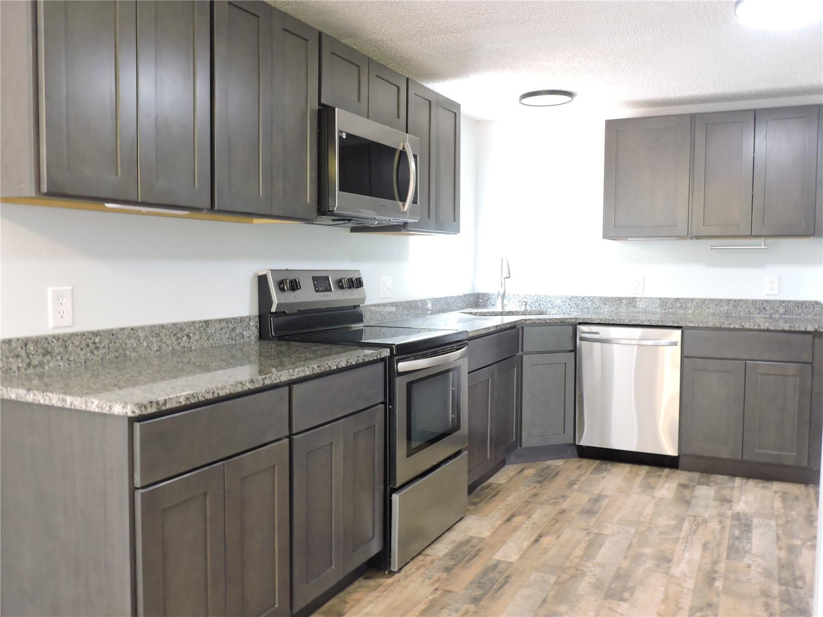 294 TIGER LAKE RD, LAKE WALES, FL, 33898