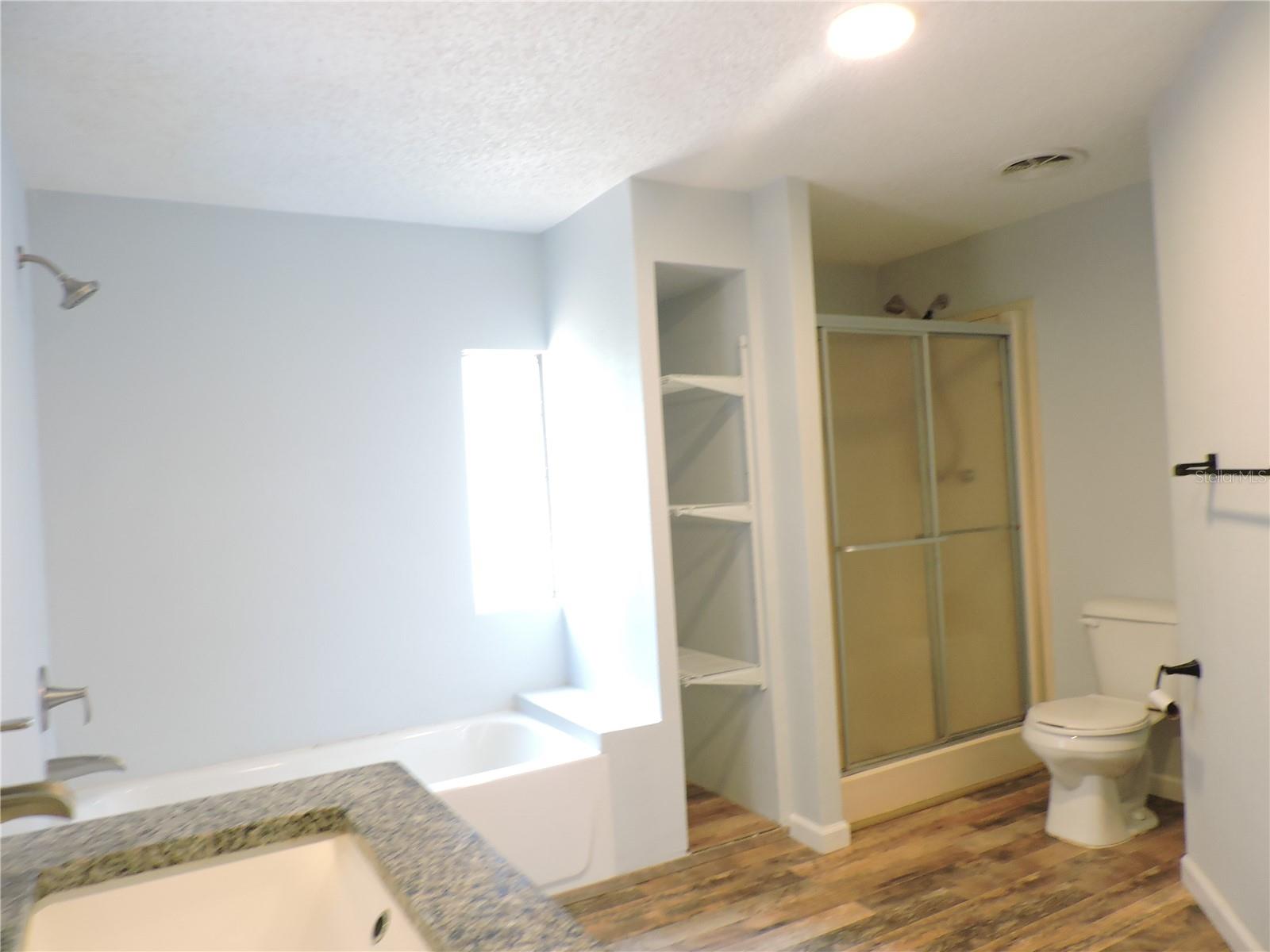 294 TIGER LAKE RD, LAKE WALES, FL, 33898