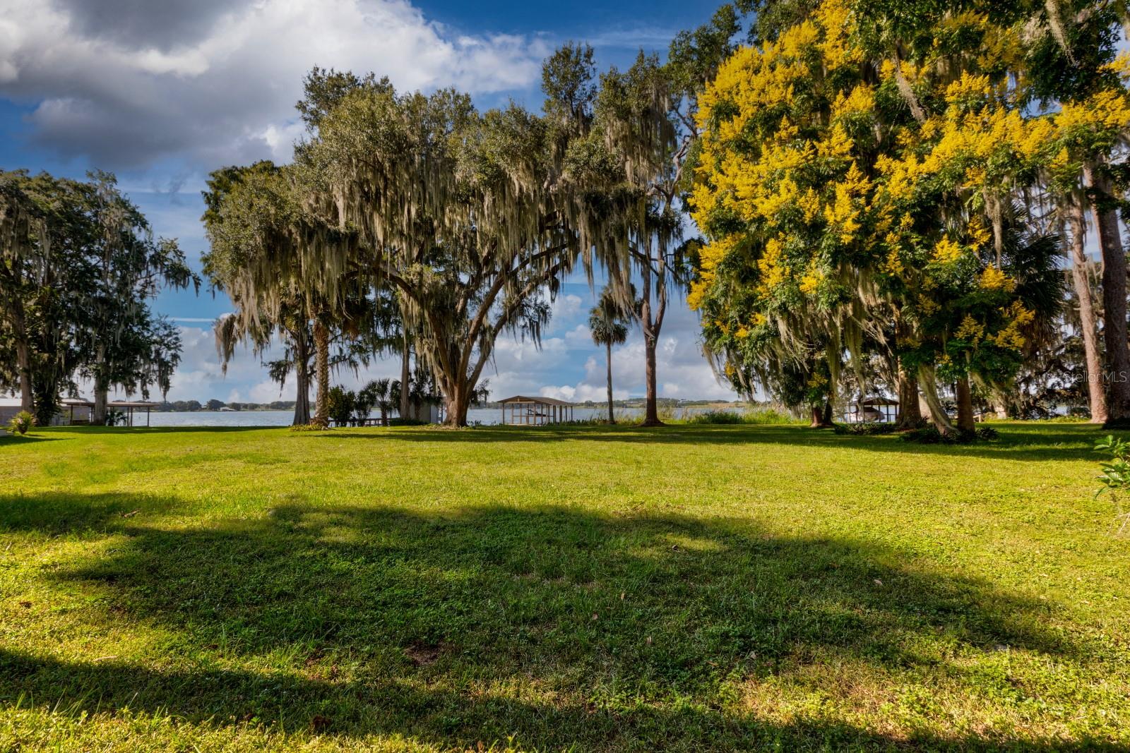 5616 TRIMBLE PARK RD, MOUNT DORA, FL, 32757