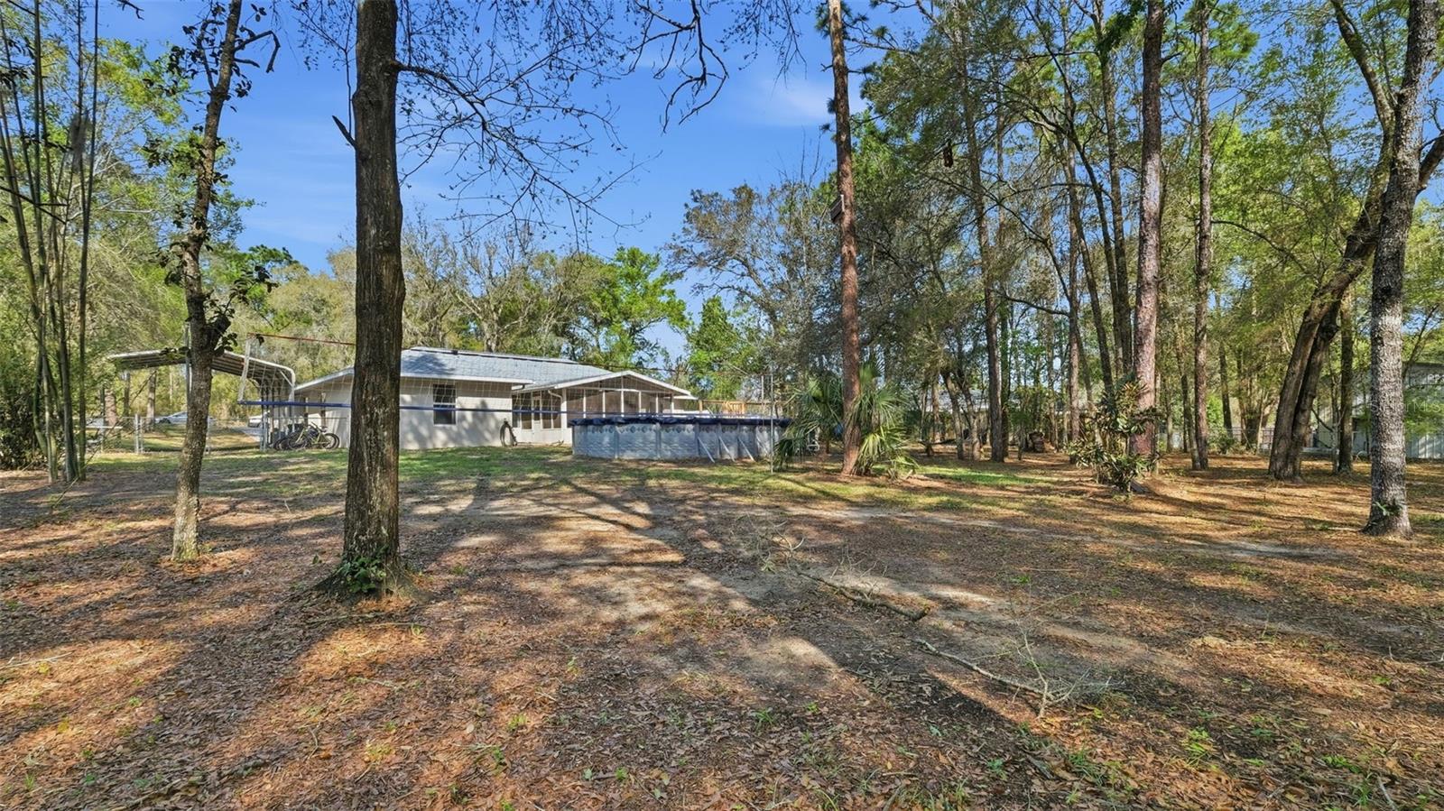 12435 S CANNA PT, FLORAL CITY, FL, 34436