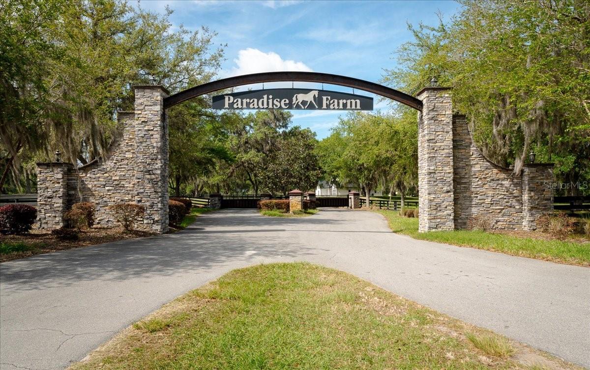 tbd NW 154TH AVE. RD LOT 11, MORRISTON, FL, 32668