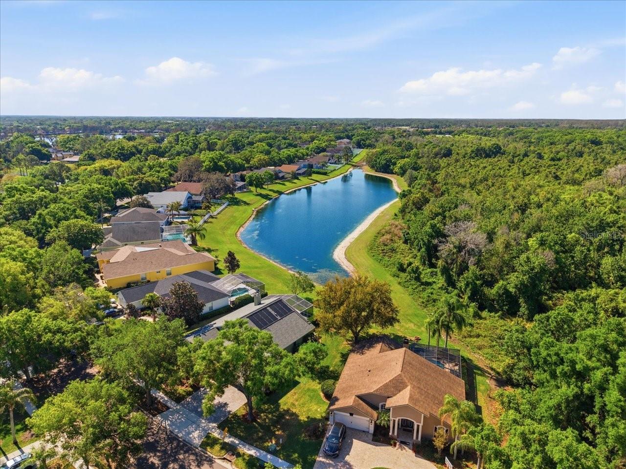 15212 ARBOR HOLLOW DR, ODESSA, FL, 33556