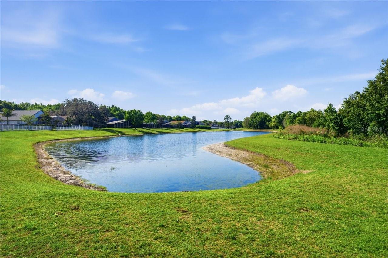 15212 ARBOR HOLLOW DR, ODESSA, FL, 33556
