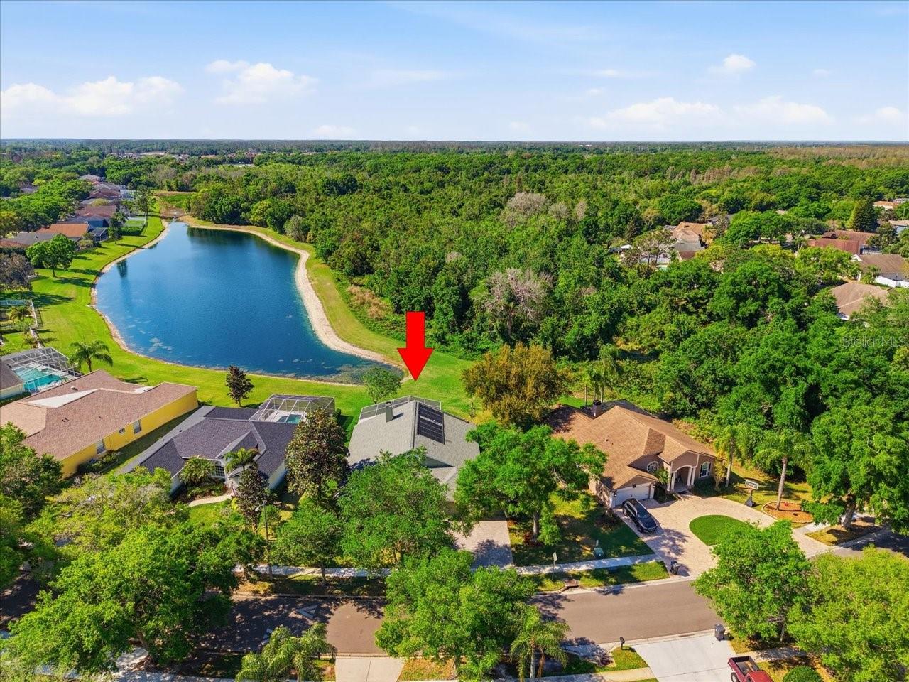 15212 ARBOR HOLLOW DR, ODESSA, FL, 33556