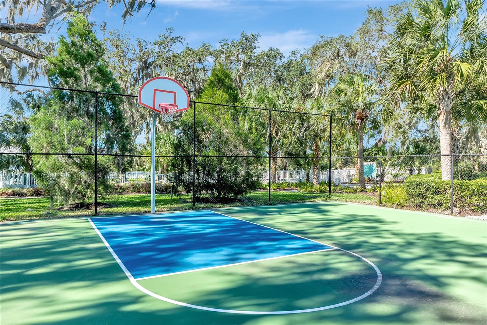 4213 PINE MEADOW DR, PARRISH, FL, 34219