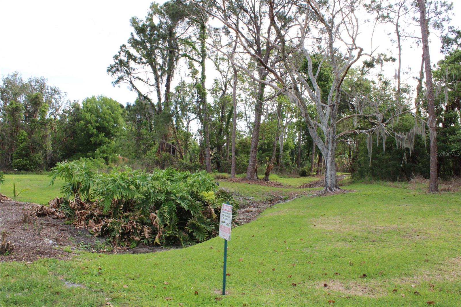 0 CHINABERRY DR, WINTER HAVEN, FL, 33881