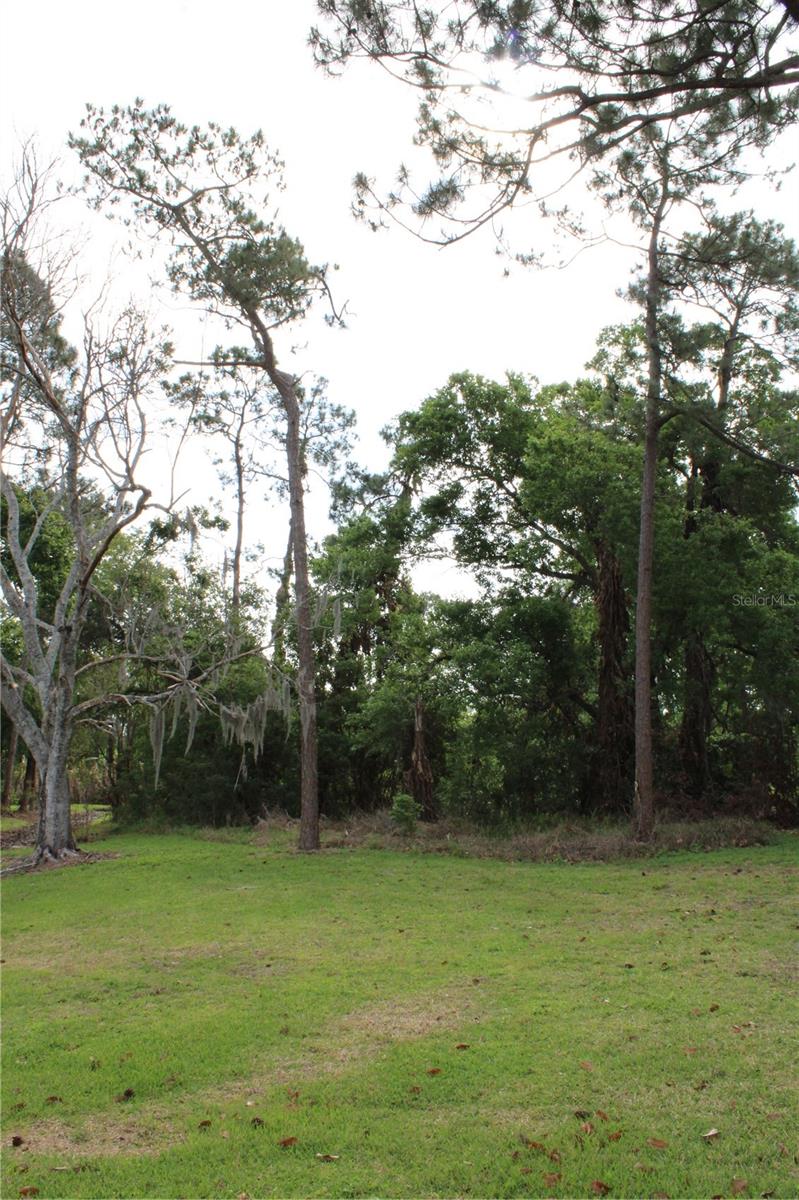 0 CHINABERRY DR, WINTER HAVEN, FL, 33881