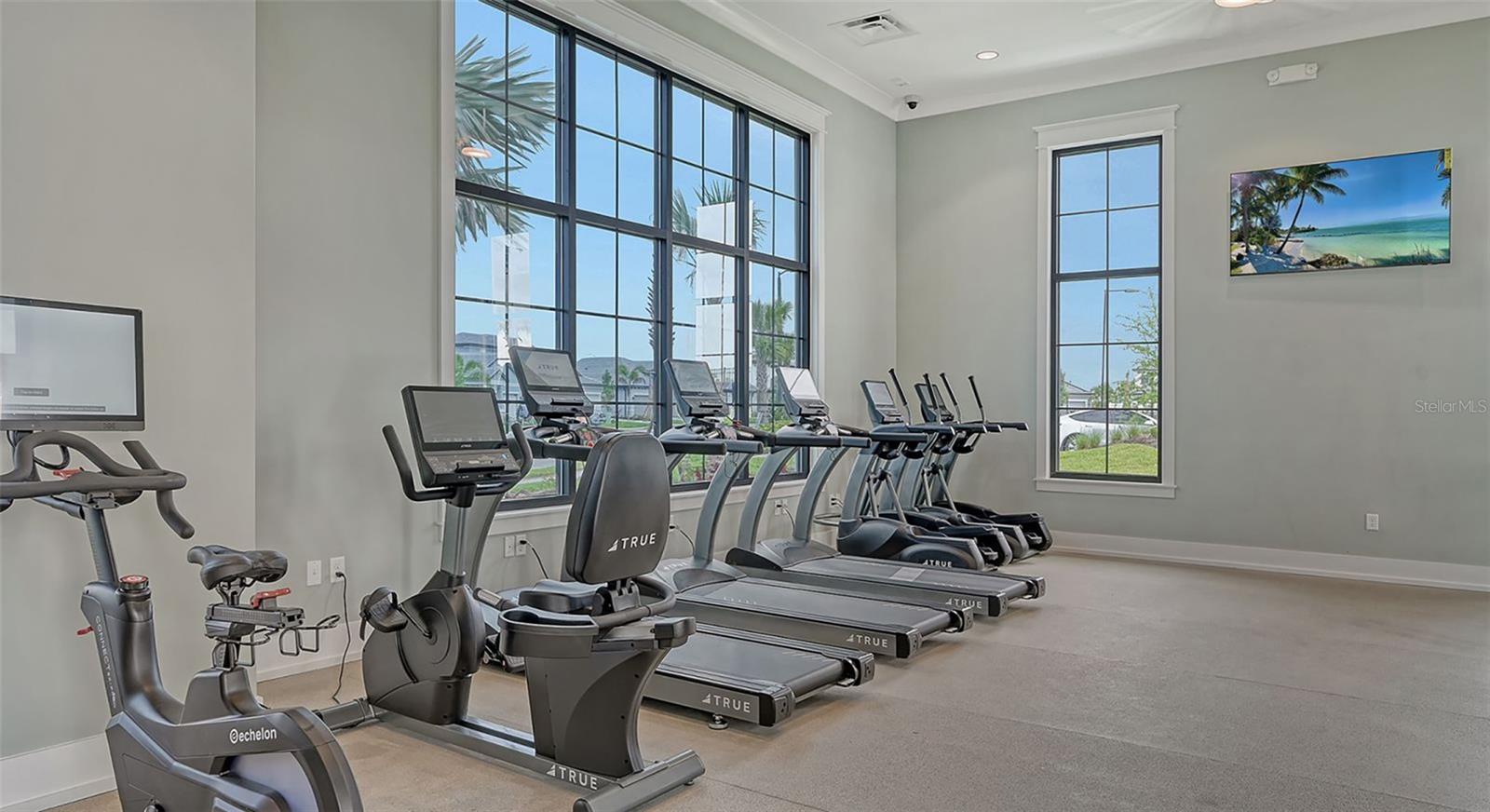 16905 SWEETWATER VILLAGE DR, BRADENTON, FL, 34211