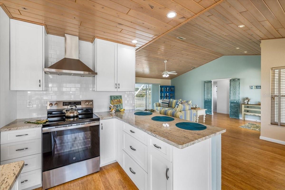 4009 SHEEPHEAD DR, HERNANDO BEACH, FL, 34607