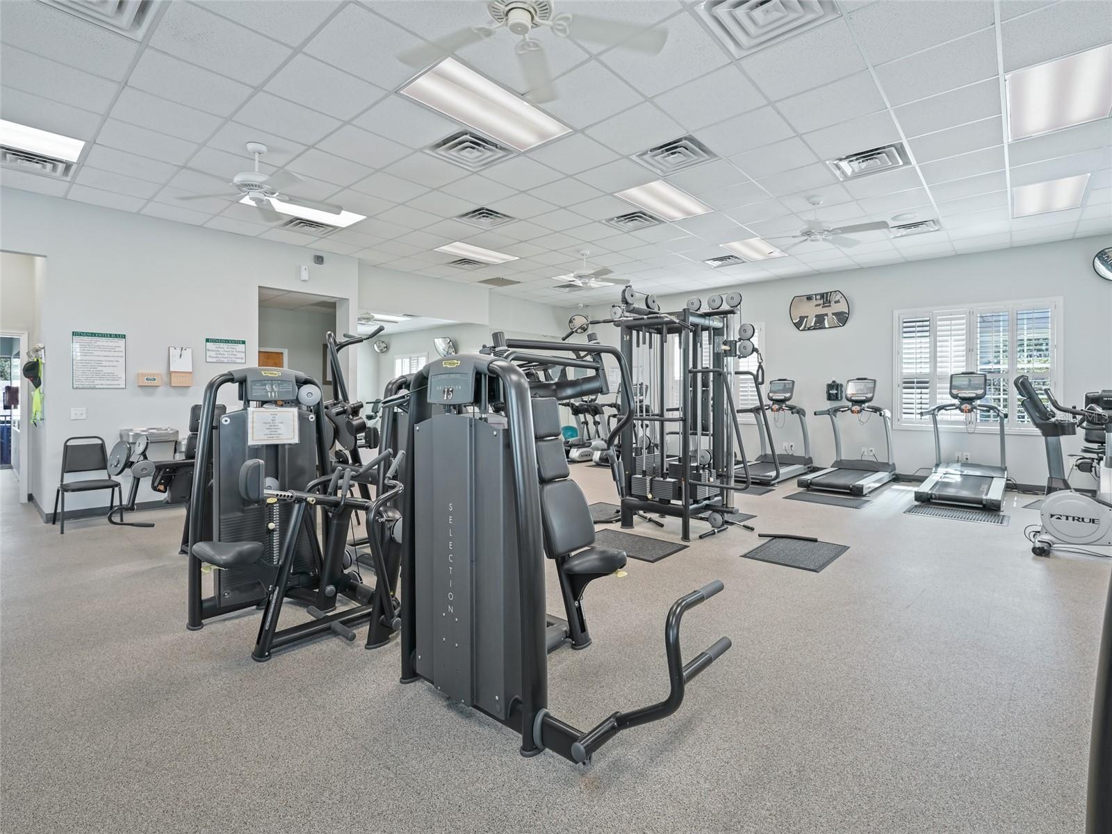 17335 SE 111TH AVE, SUMMERFIELD, FL, 34491