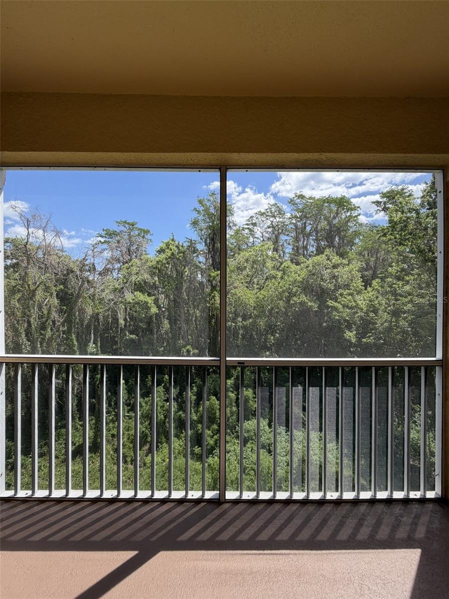 6265 CONTESSA DR #303, ORLANDO, FL, 32829