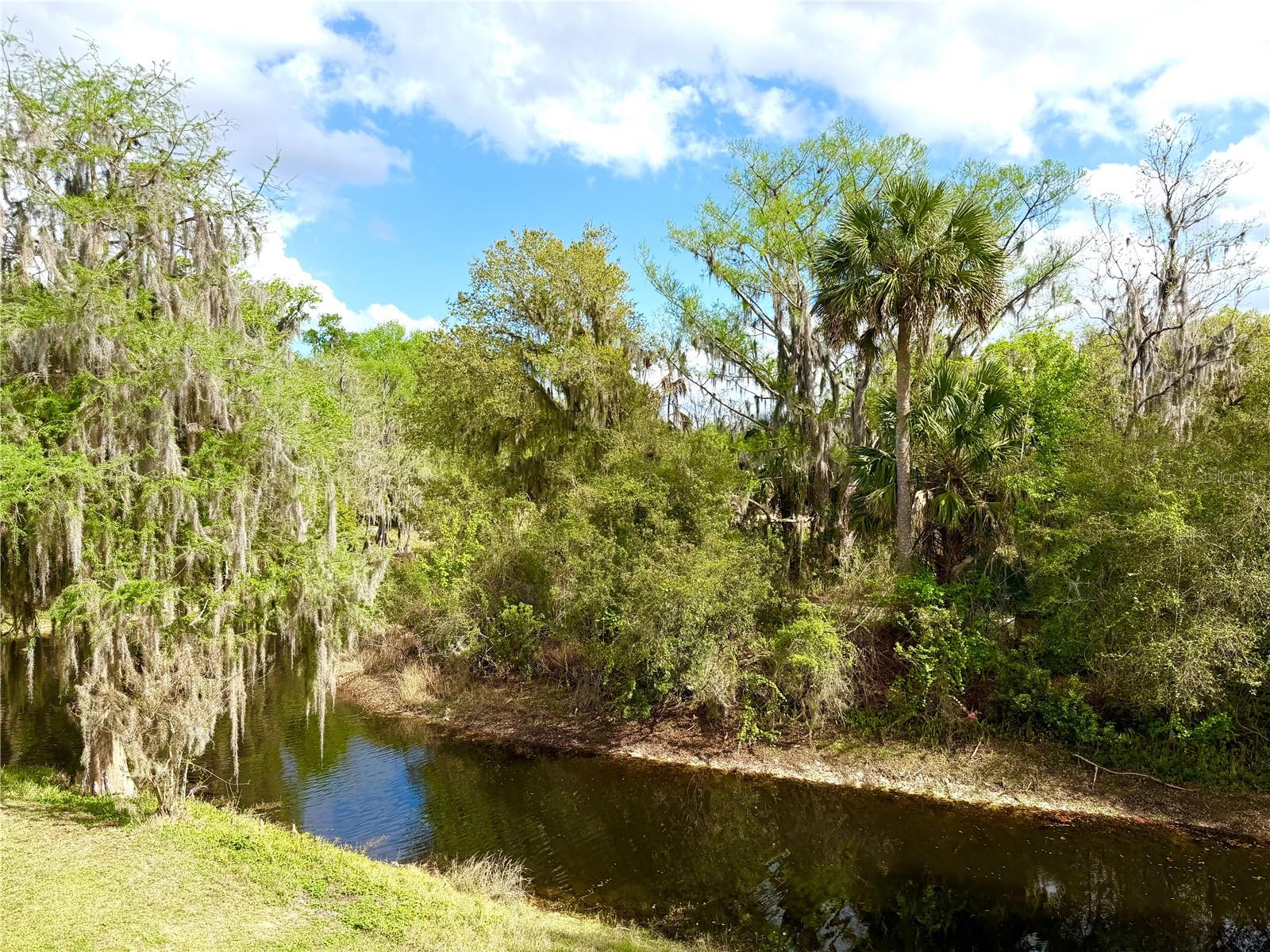 1340 CYPRESS COVE CT, INVERNESS, FL, 34450