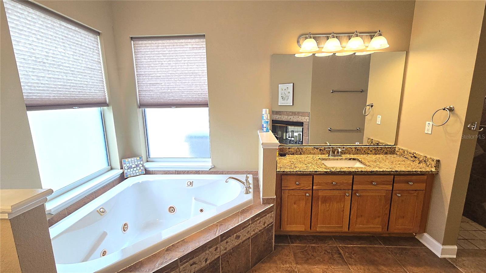 4307 BRITT RD, MOUNT DORA, FL, 32757