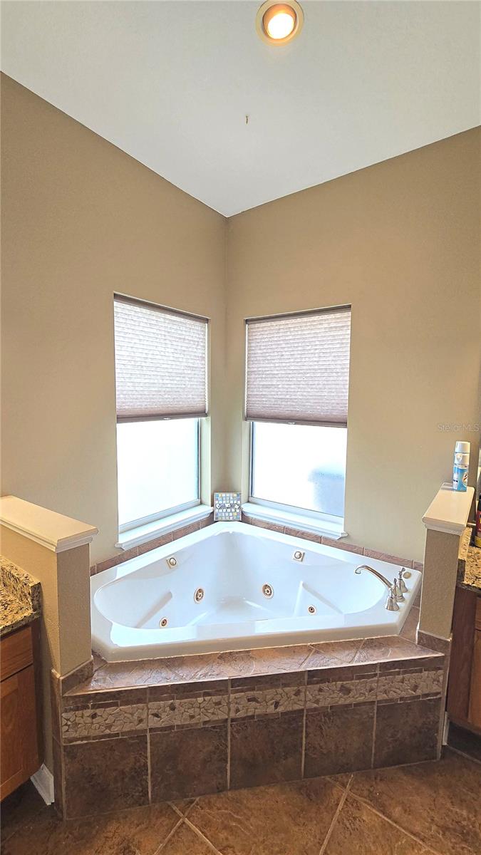 4307 BRITT RD, MOUNT DORA, FL, 32757