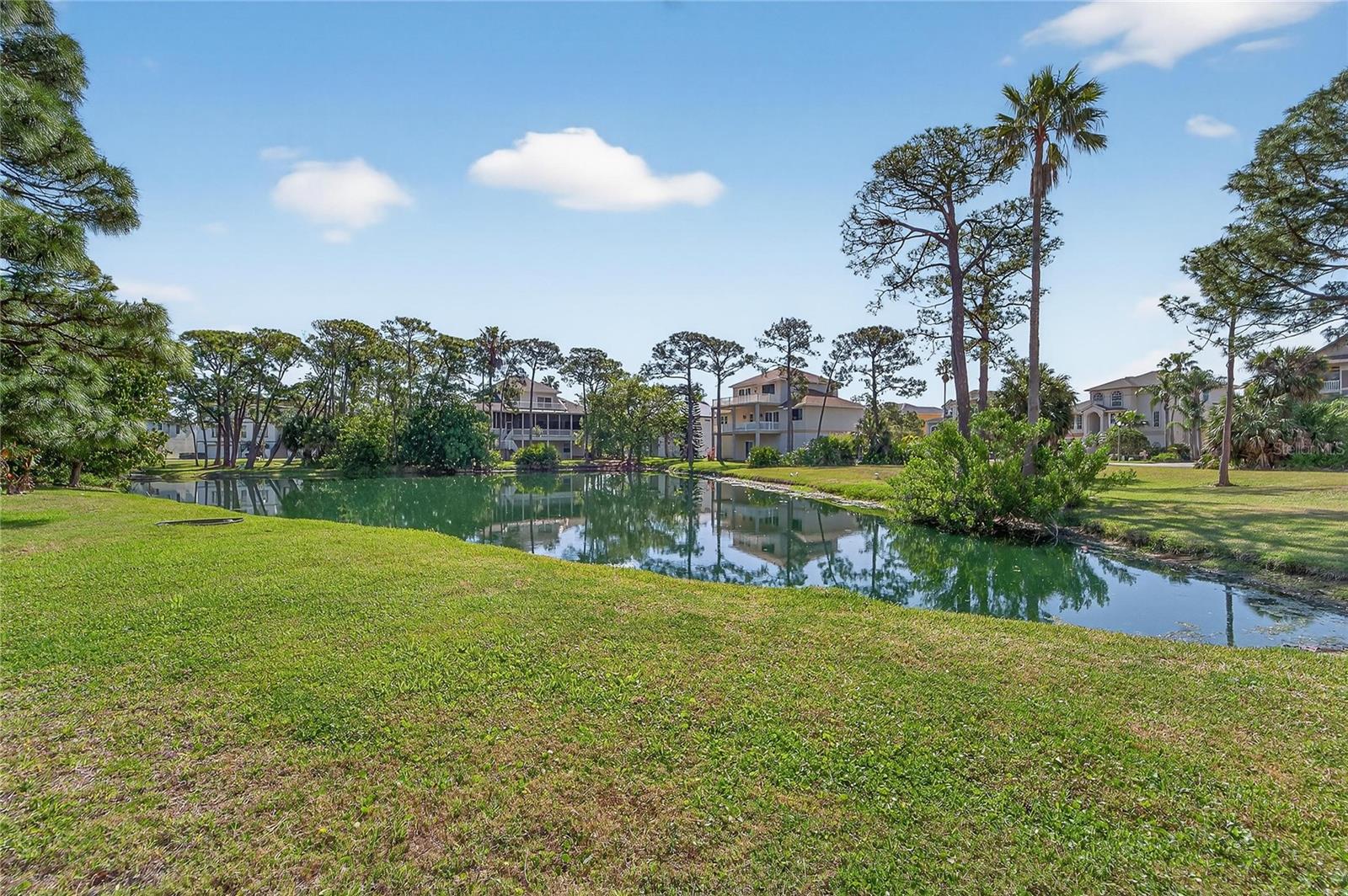 HARBOUR WATCH CIR, TARPON SPRINGS, FL, 34689