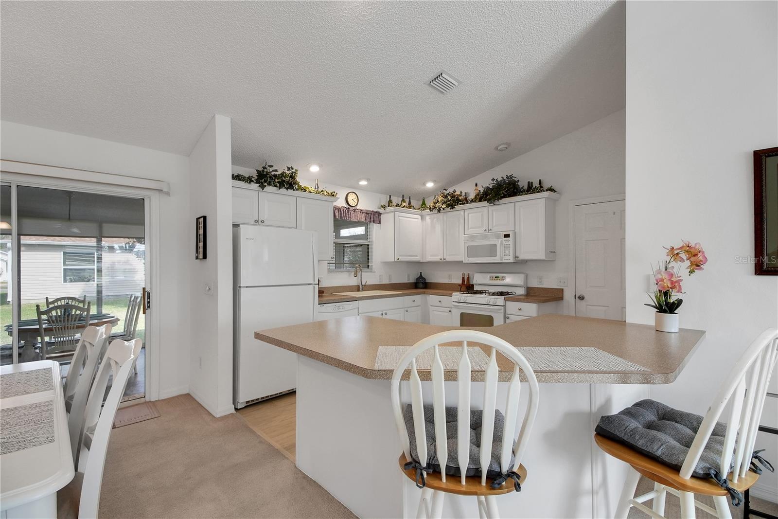883 AIKEN AVE, THE VILLAGES, FL, 32162