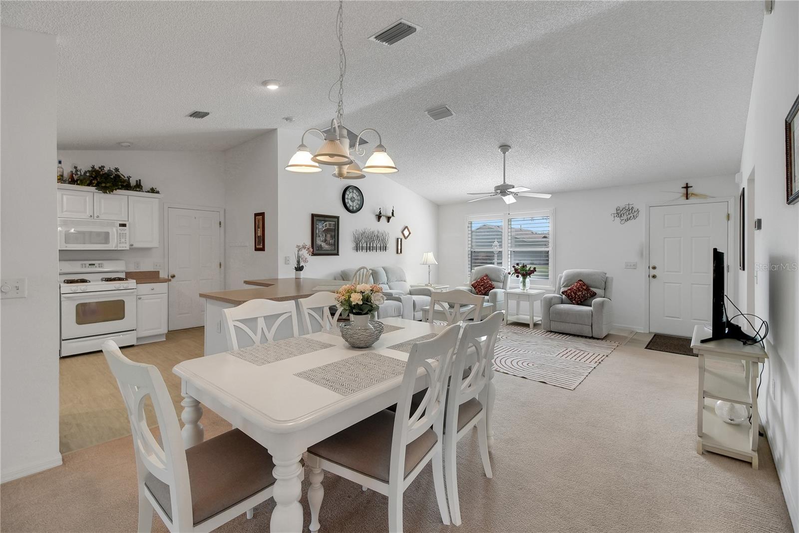 883 AIKEN AVE, THE VILLAGES, FL, 32162