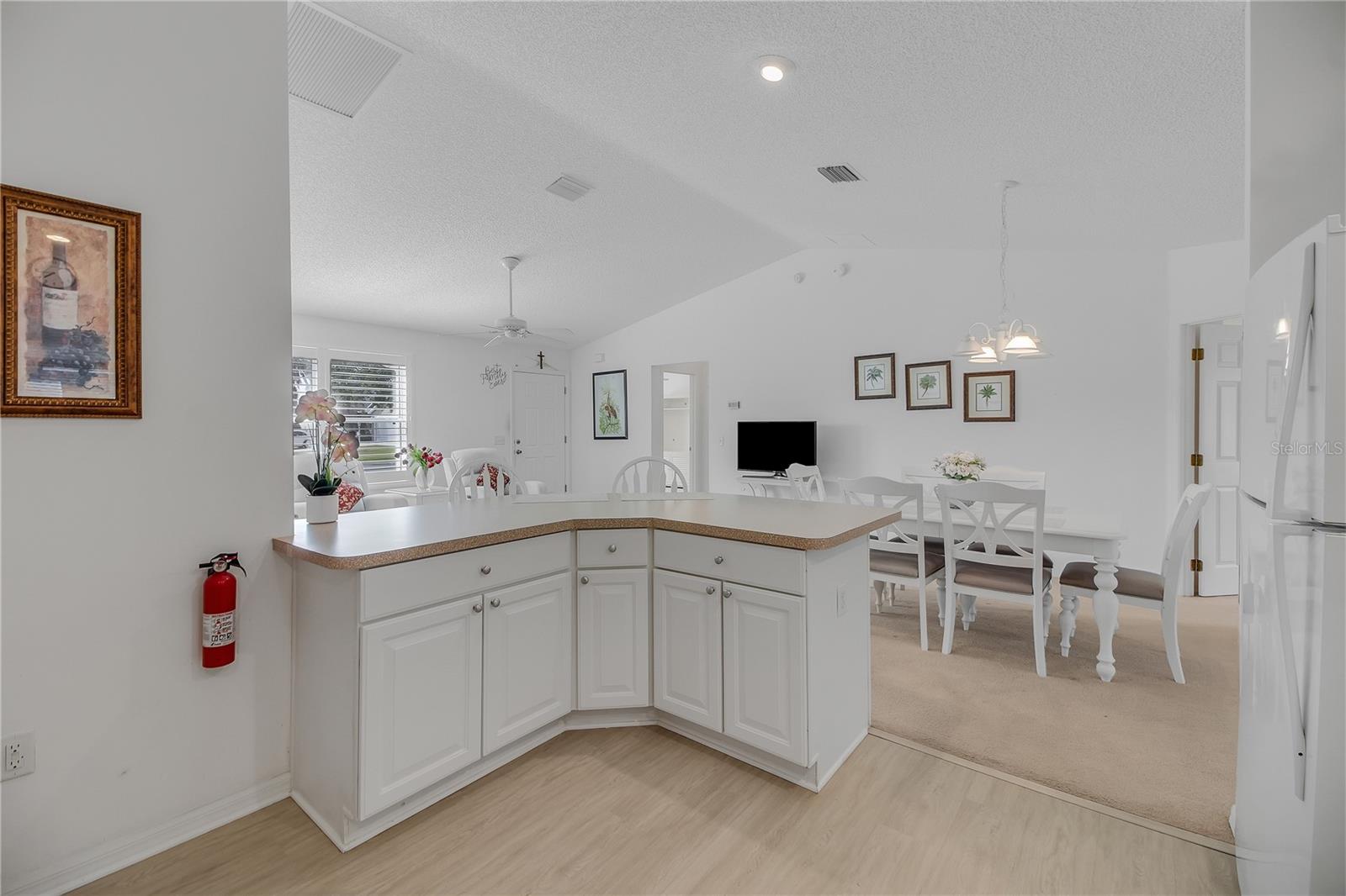 883 AIKEN AVE, THE VILLAGES, FL, 32162