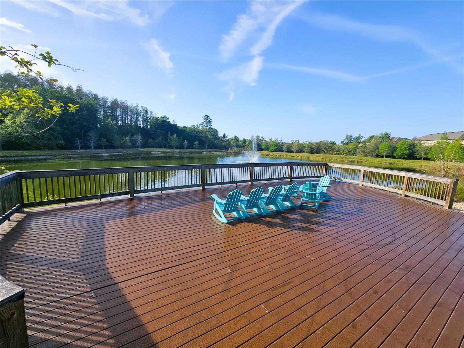 30219 SOUTHWELL LN, WESLEY CHAPEL, FL, 33543