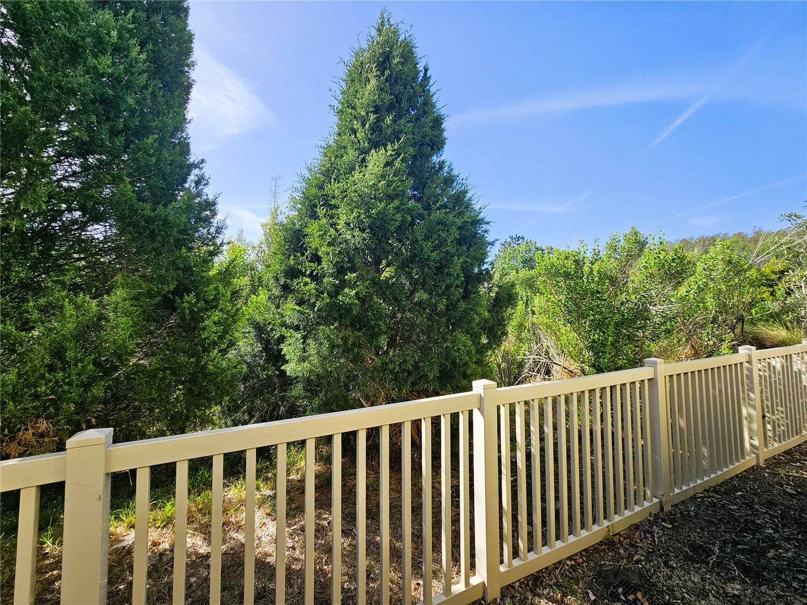 30219 SOUTHWELL LN, WESLEY CHAPEL, FL, 33543