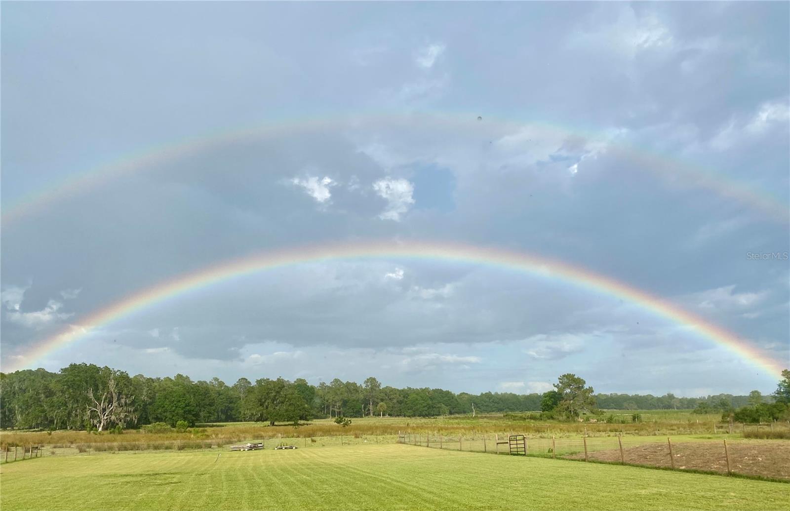 15353 EVANS RANCH RD, LAKELAND, FL, 33809