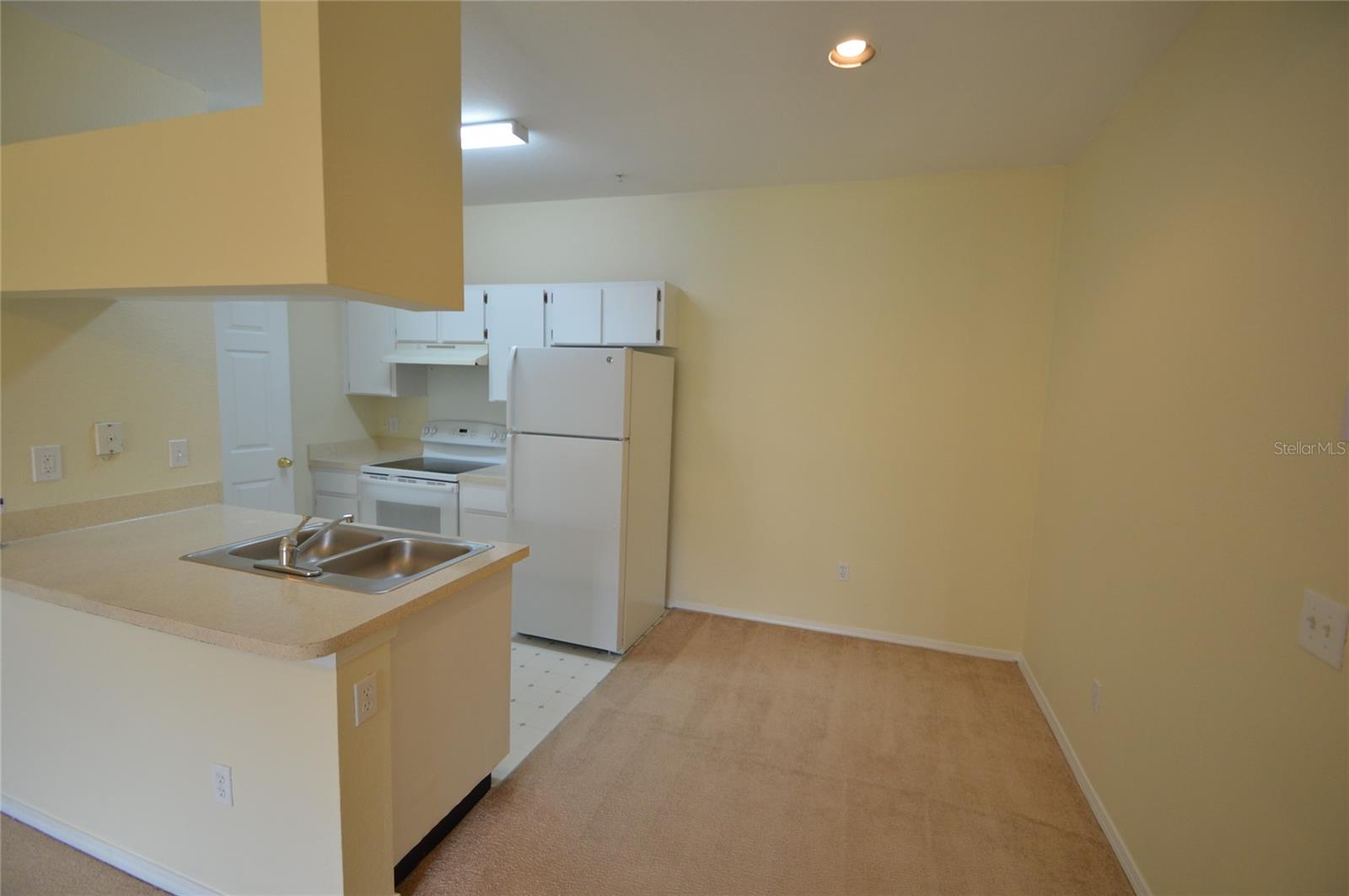 13113 SANCTUARY COVE DR #204, TEMPLE TERRACE, FL, 33637
