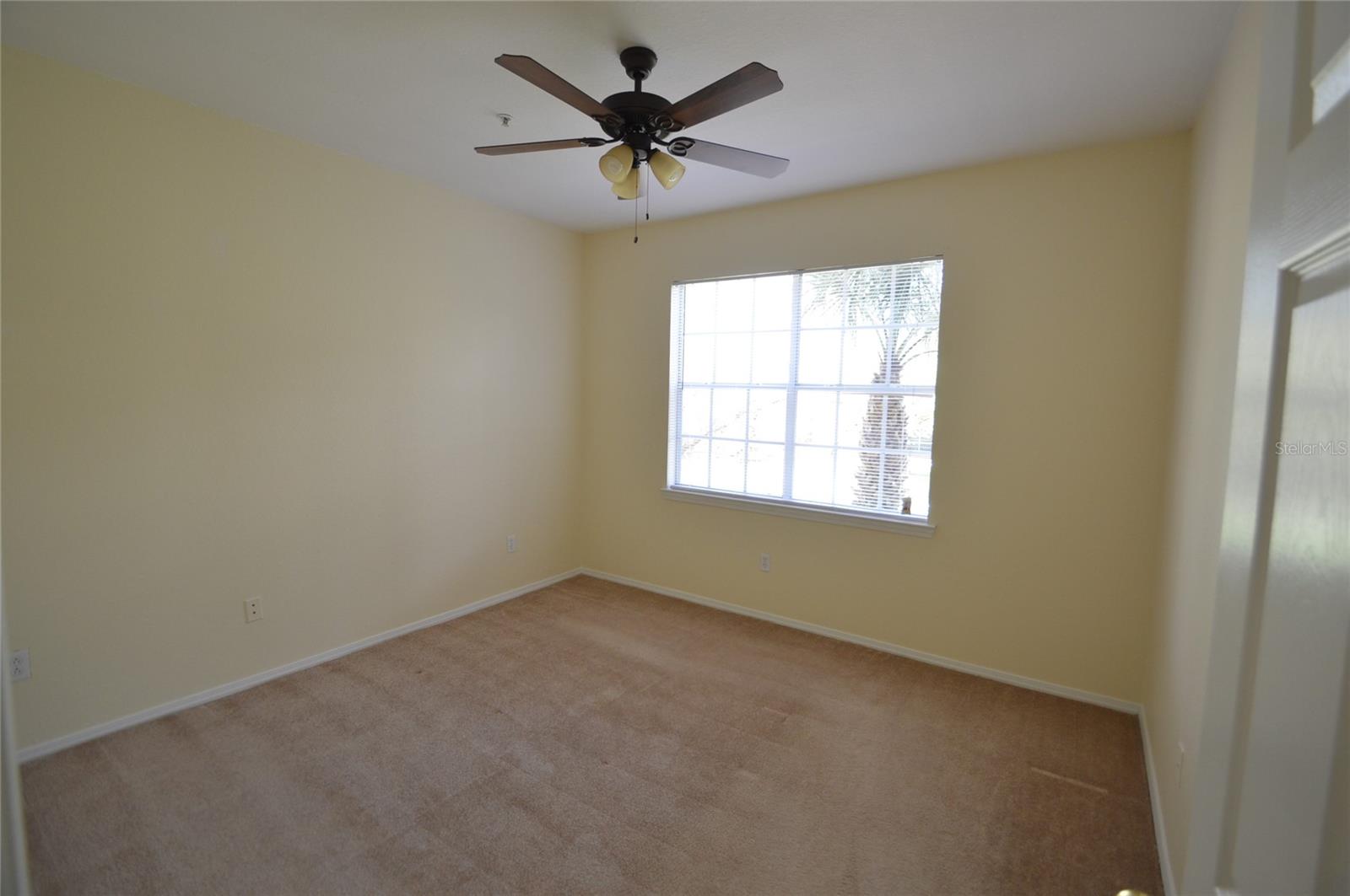 13113 SANCTUARY COVE DR #204, TEMPLE TERRACE, FL, 33637