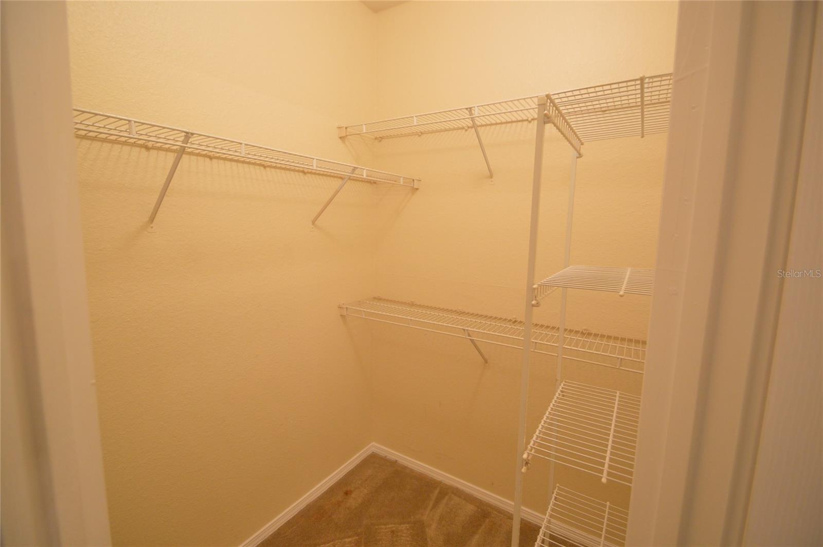 13113 SANCTUARY COVE DR #204, TEMPLE TERRACE, FL, 33637
