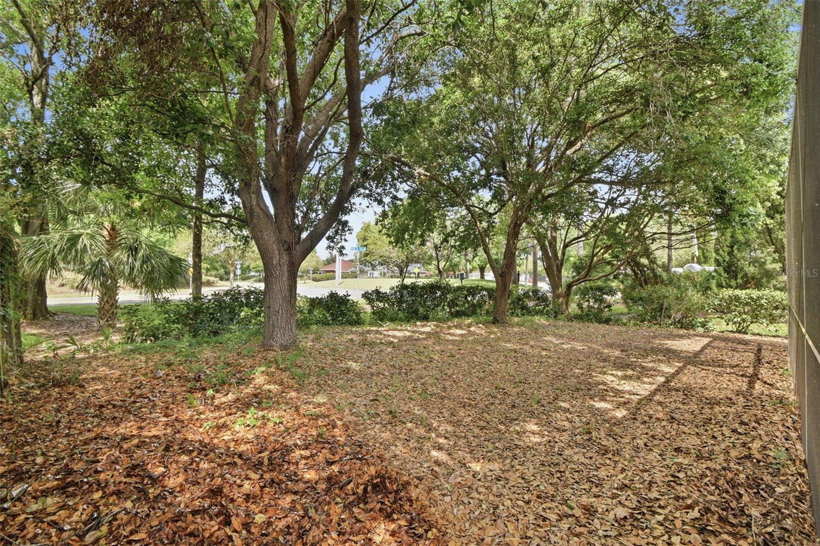8535 QUARTER HORSE DR, RIVERVIEW, FL, 33578