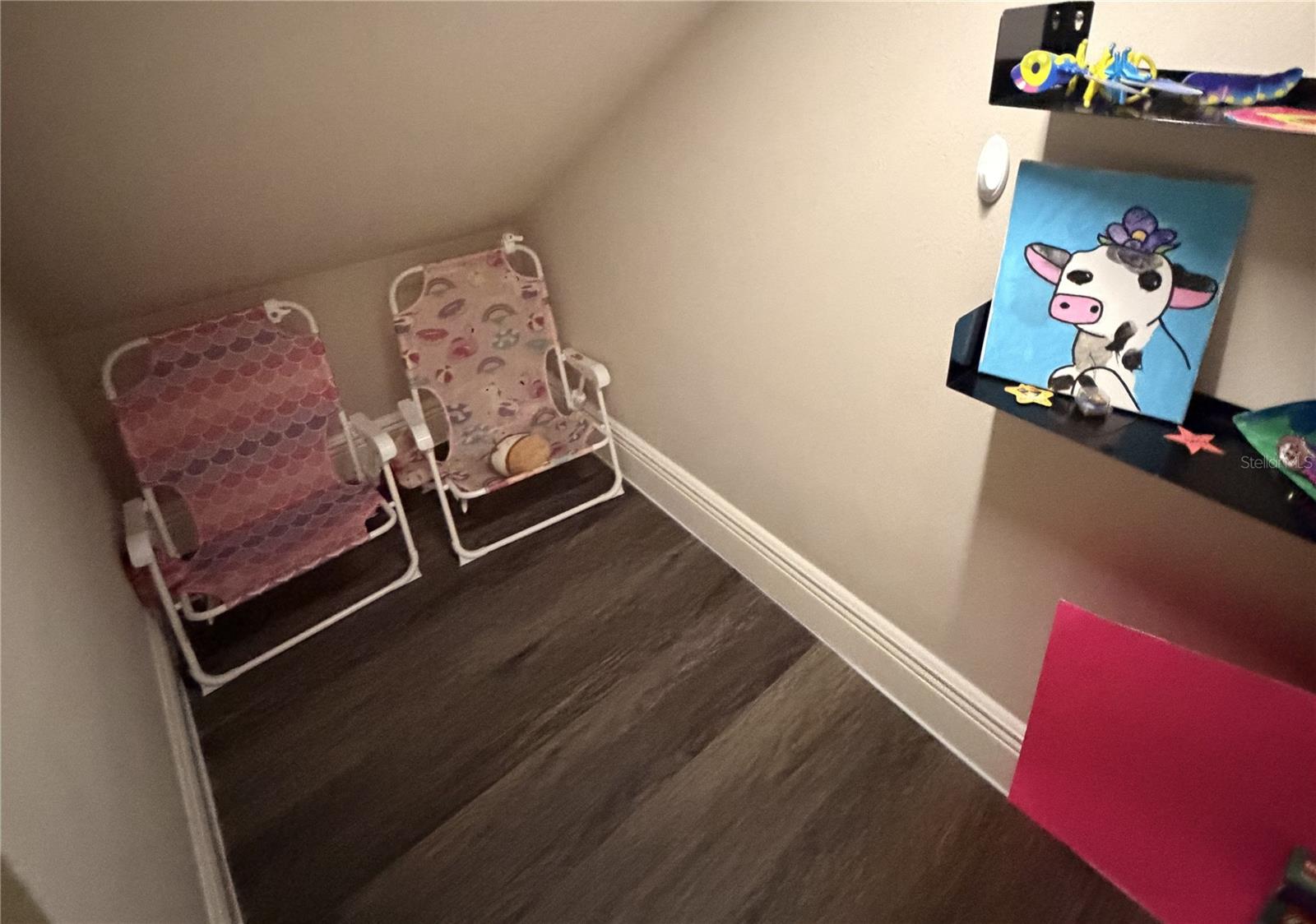 Storage/secret space under the stairs