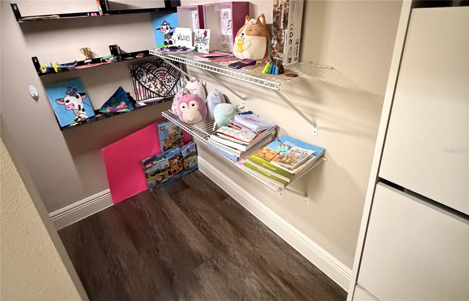 Storage/secret space under the stairs