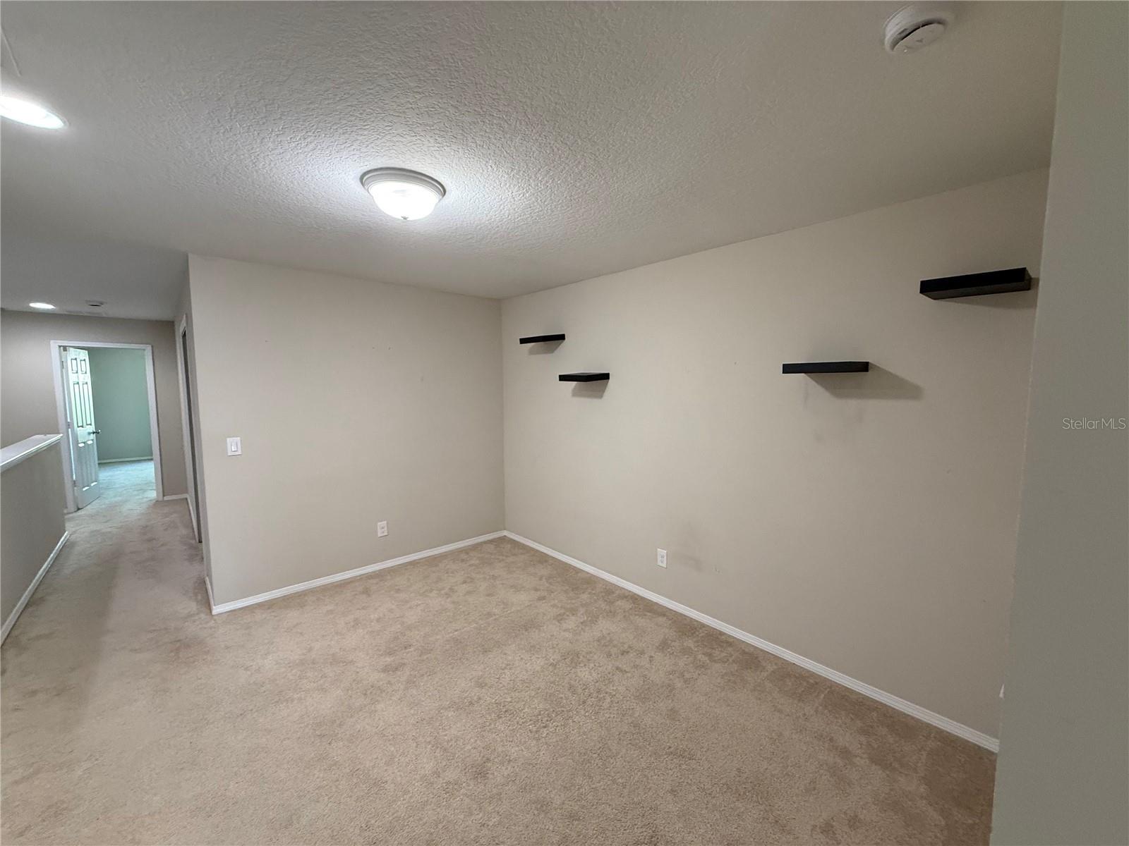 8827 TURNSTONE HAVEN PL, TAMPA, FL, 33619