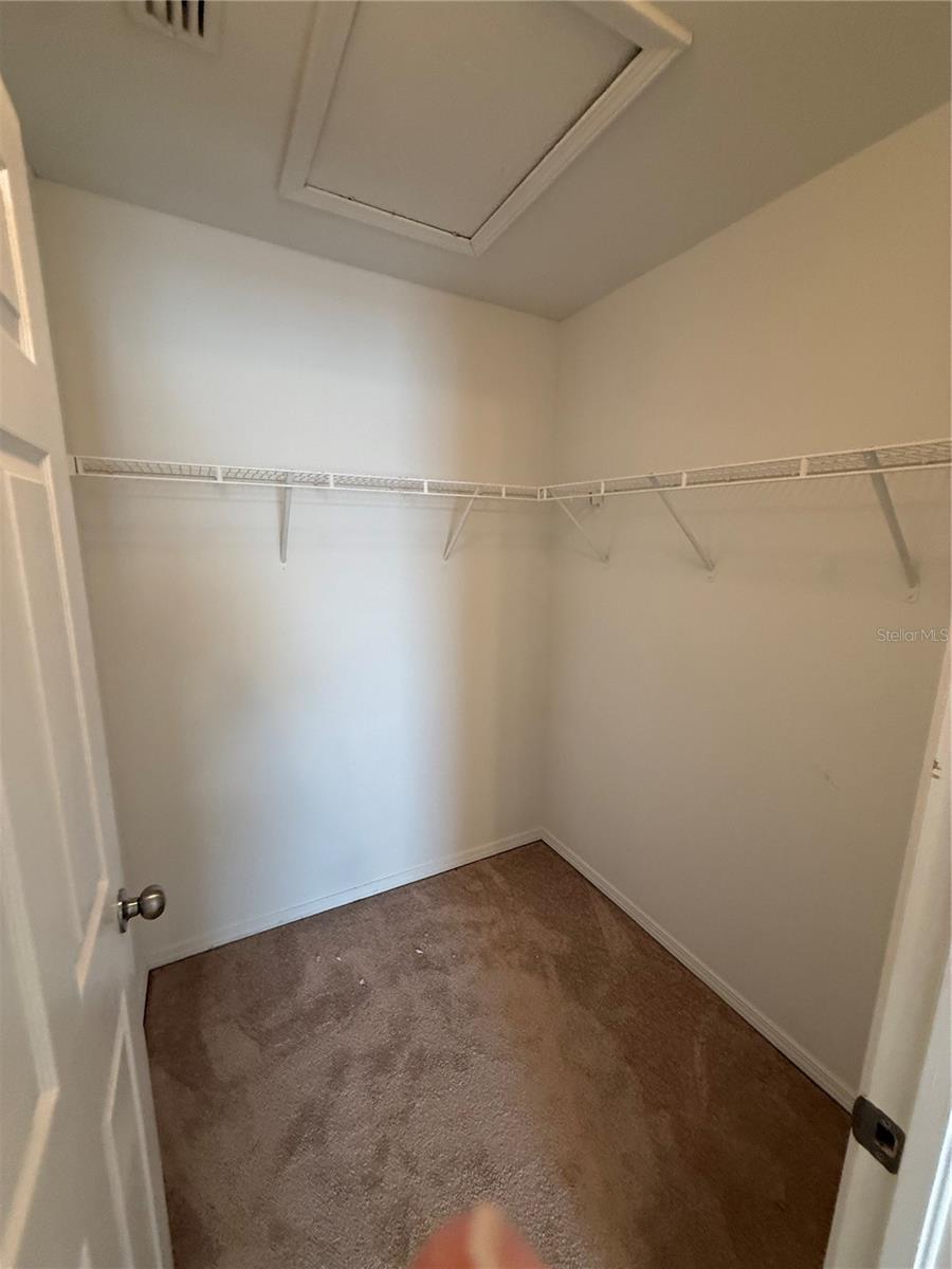 8827 TURNSTONE HAVEN PL, TAMPA, FL, 33619