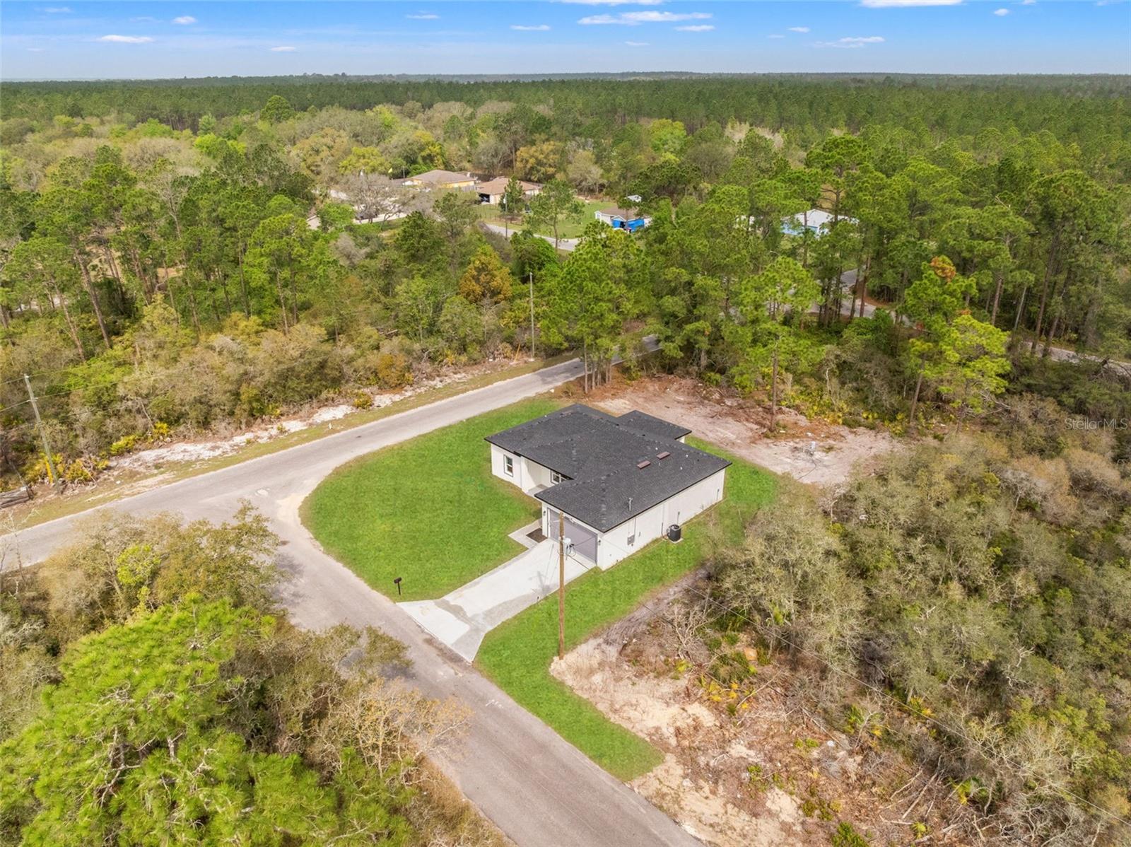 33 FISHER PL, OCKLAWAHA, FL, 32179