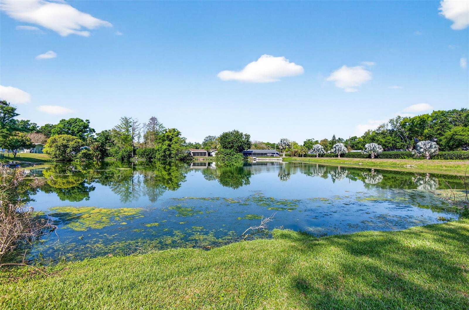 1520 S KEENE RD, CLEARWATER, FL, 33756