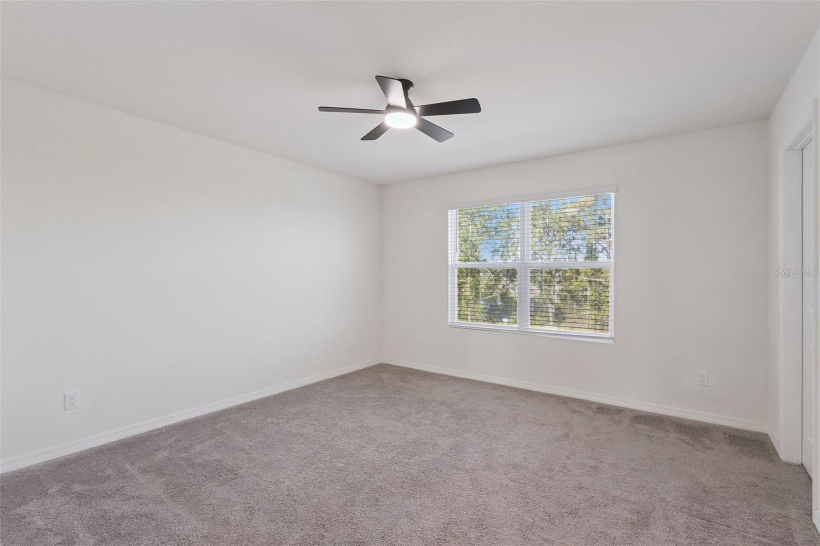 3880 FESCUE ST, CLERMONT, FL, 34714