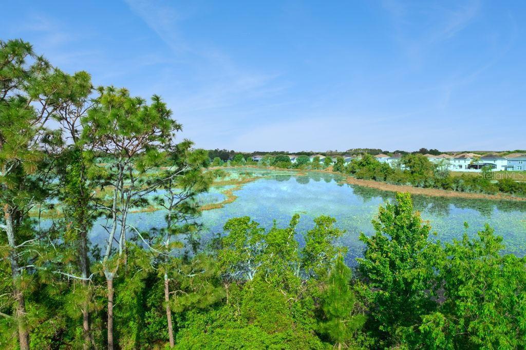 3880 FESCUE ST, CLERMONT, FL, 34714