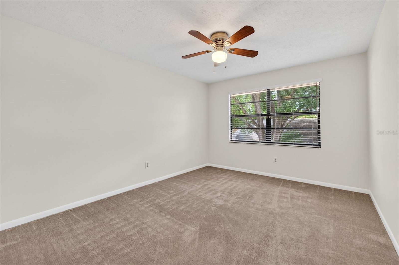 15710 PINTO PL, TAMPA, FL, 33624