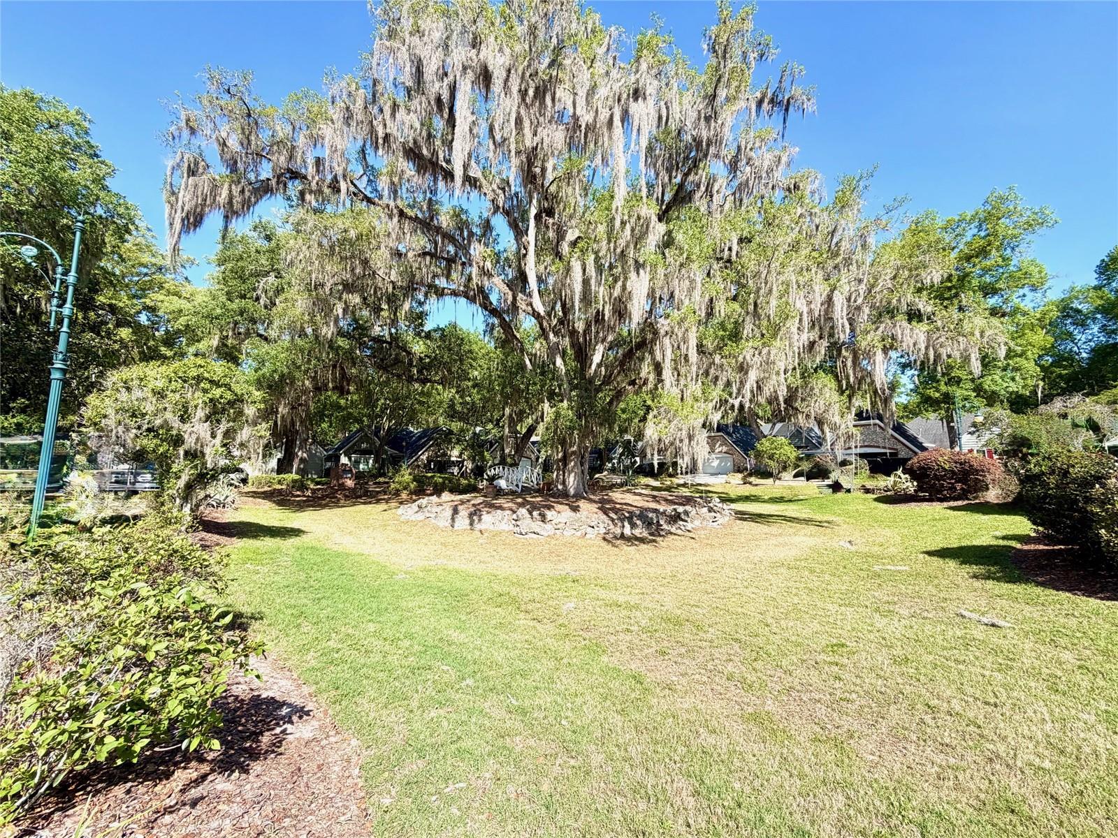 4317 NW 10TH PL, GAINESVILLE, FL, 32605