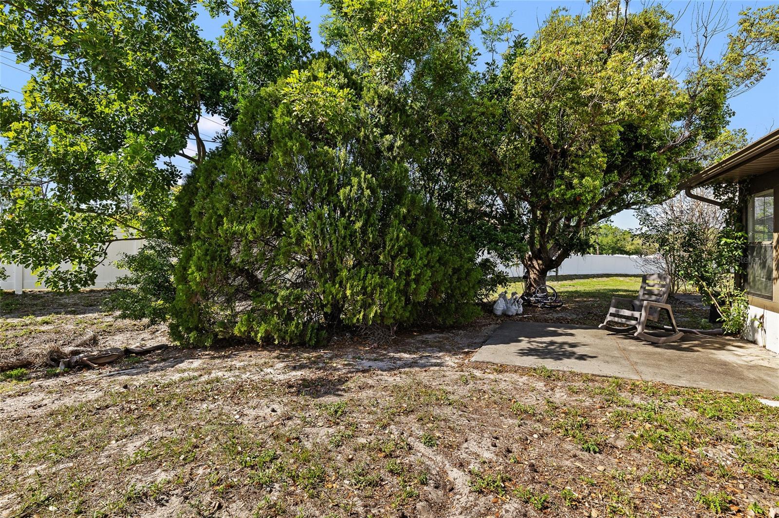 2130 BANCROFT PL #E, PALM HARBOR, FL, 34683