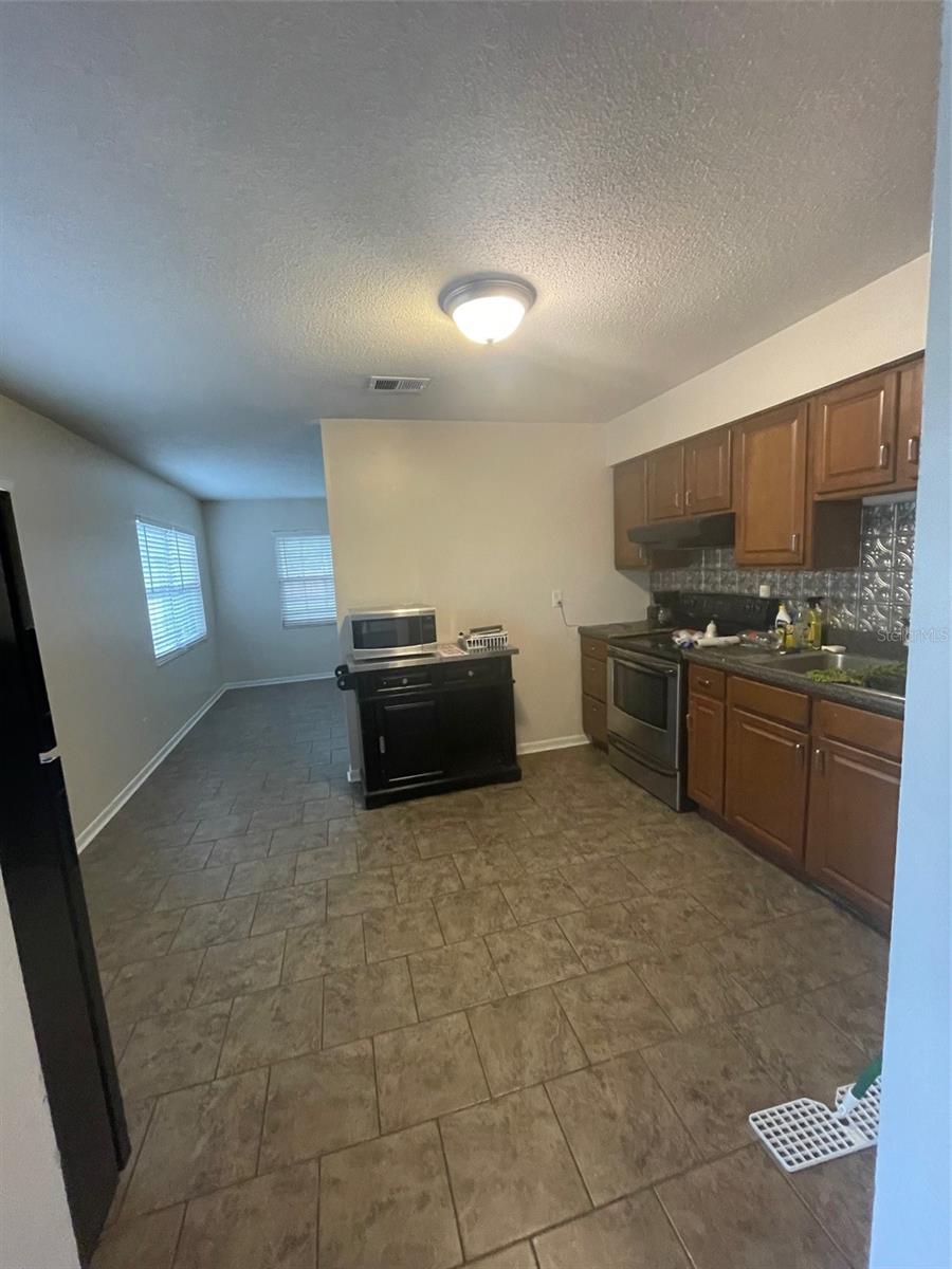 204 CALLITRIS AVE, POLK CITY, FL, 33868