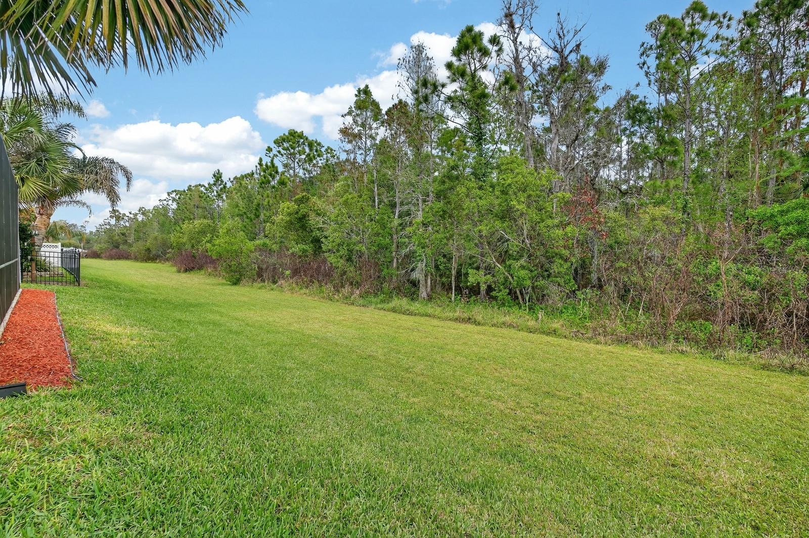 3355 BELLINO BLVD, NEW SMYRNA BEACH, FL, 32168