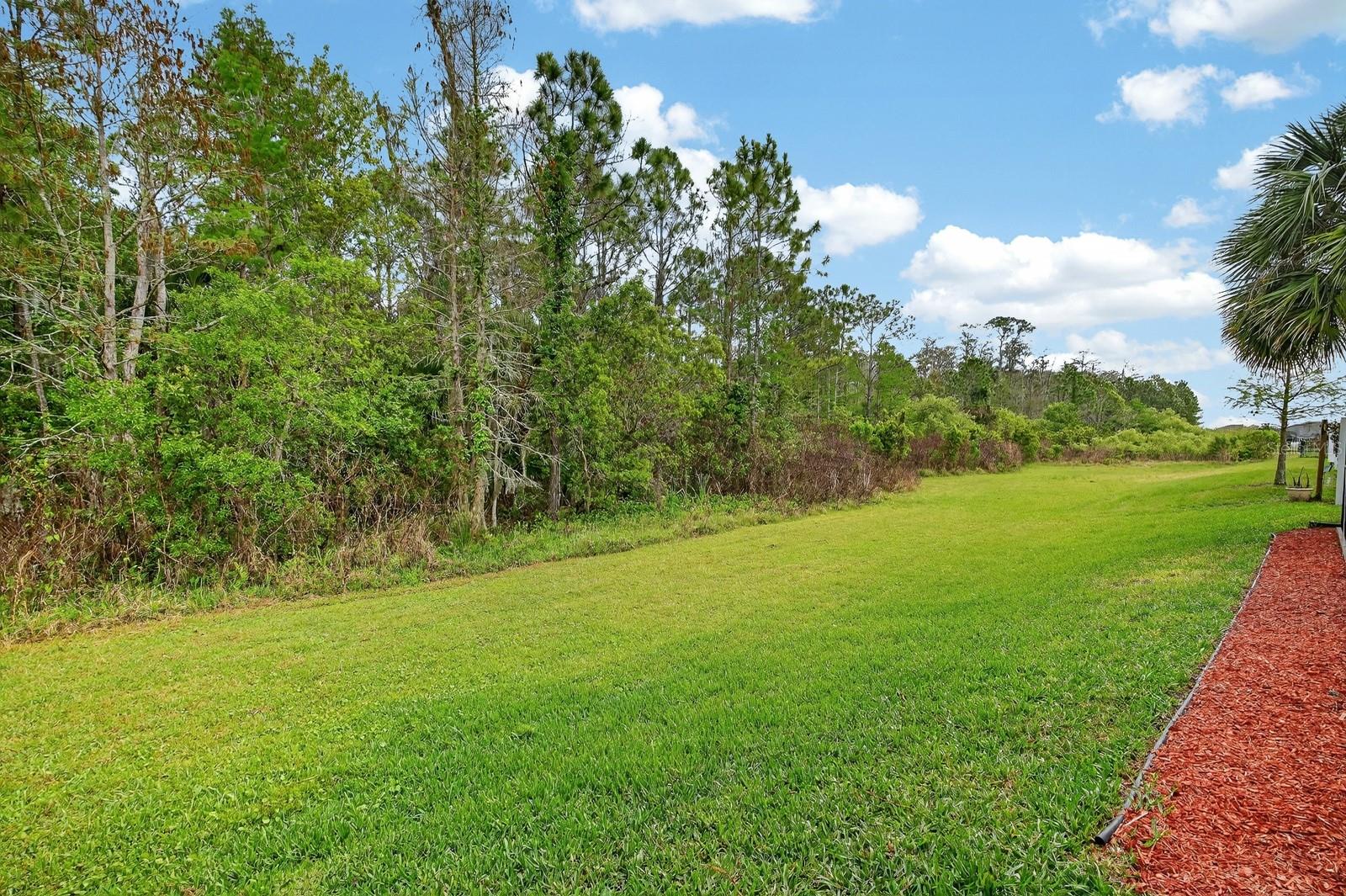3355 BELLINO BLVD, NEW SMYRNA BEACH, FL, 32168