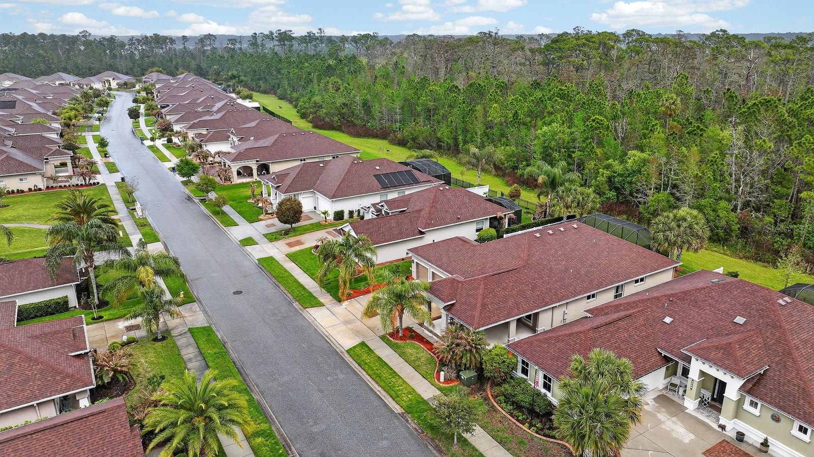 3355 BELLINO BLVD, NEW SMYRNA BEACH, FL, 32168